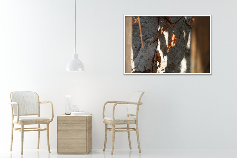 Untitled#13