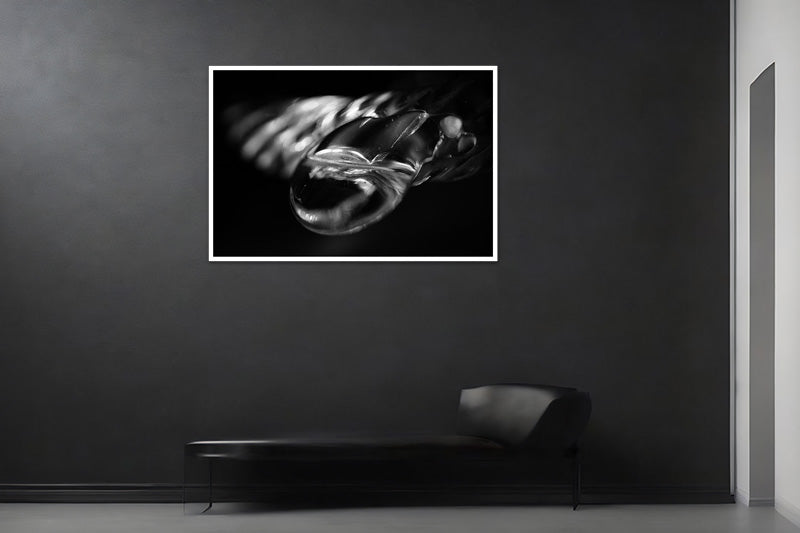 Untitled#17