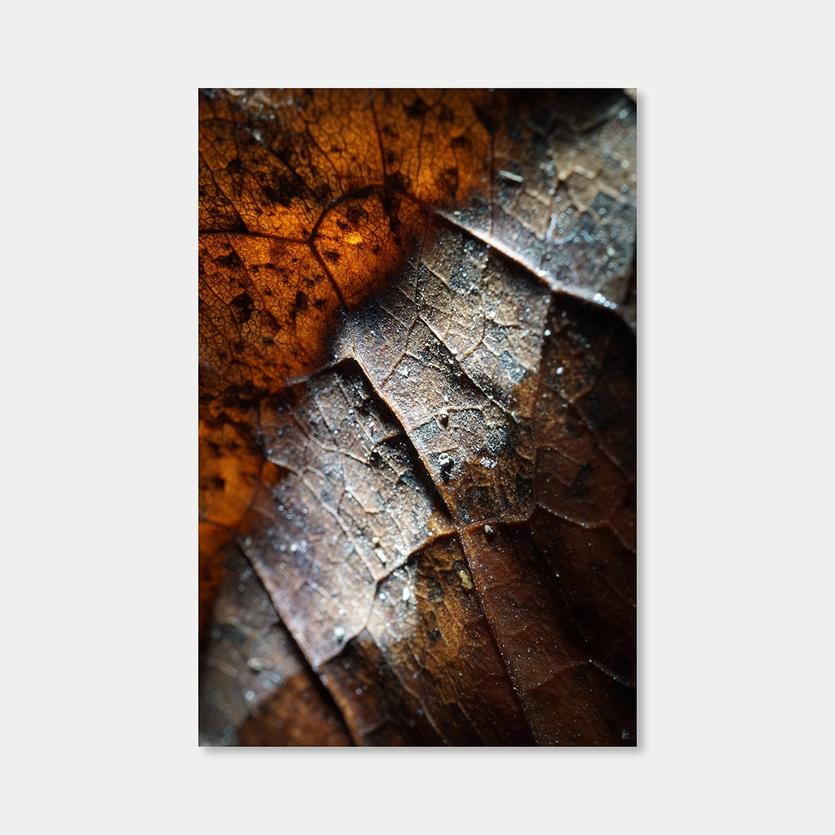 Amber Veins