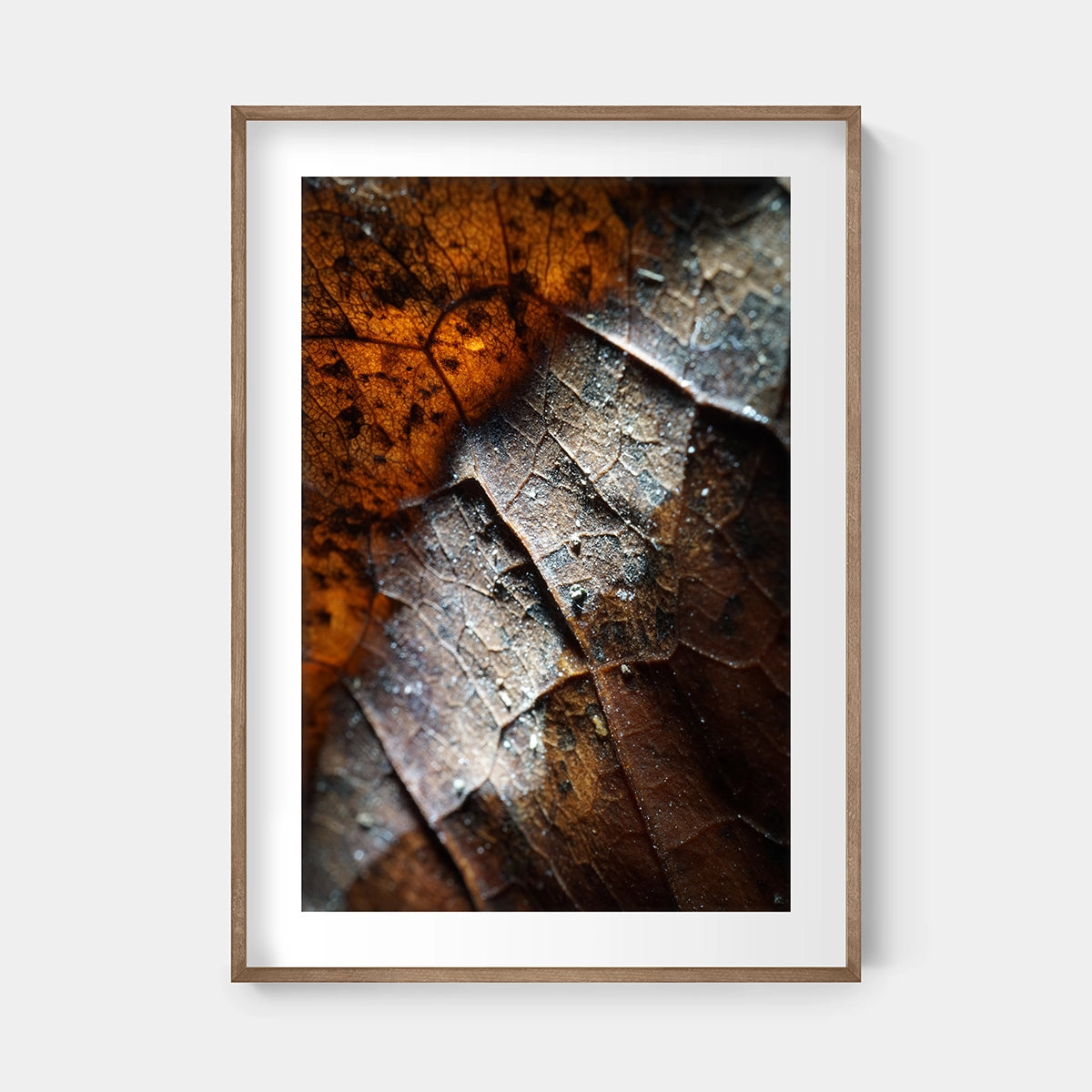 Amber Veins