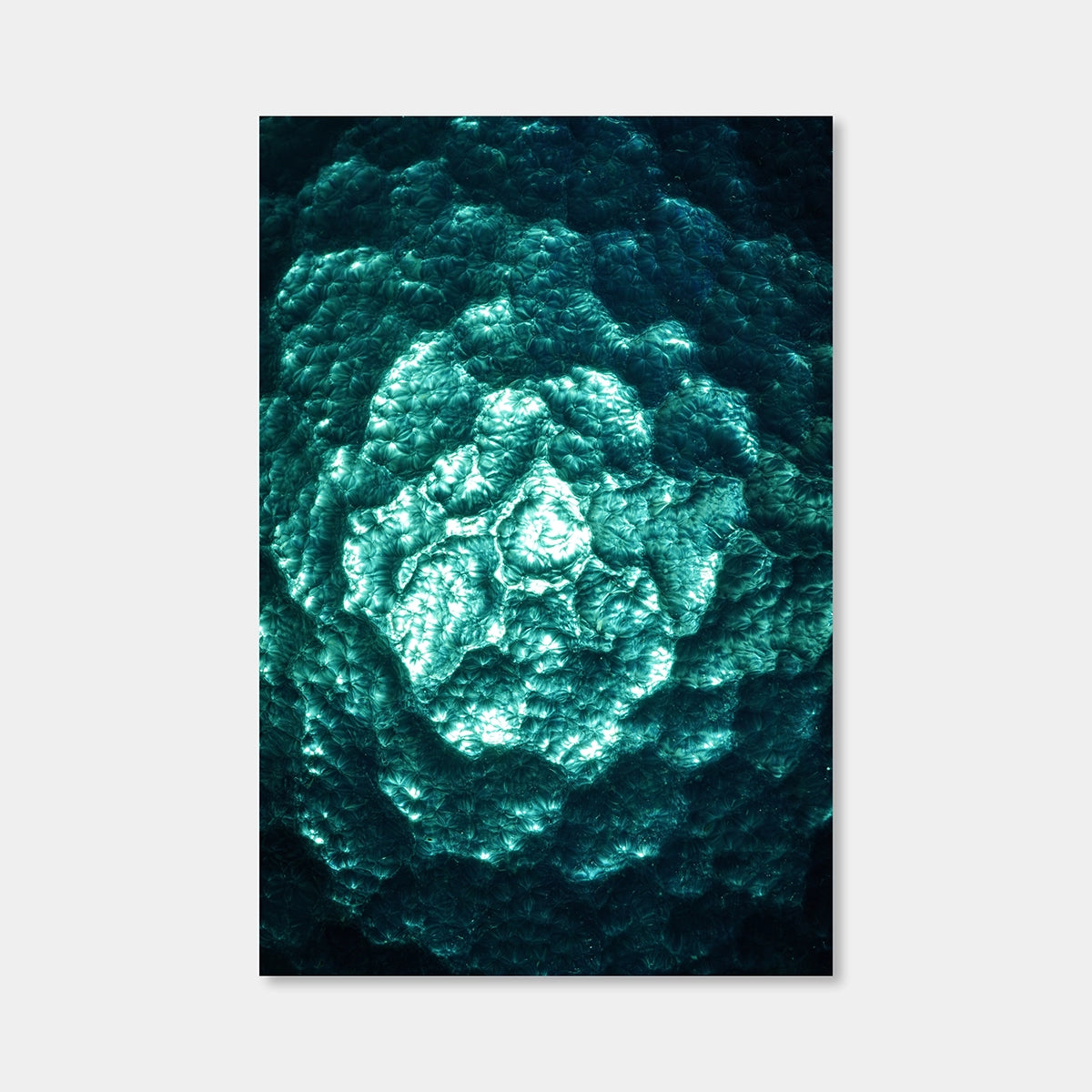 Radiant Matter No. 1