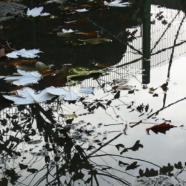 Autumn Mirror