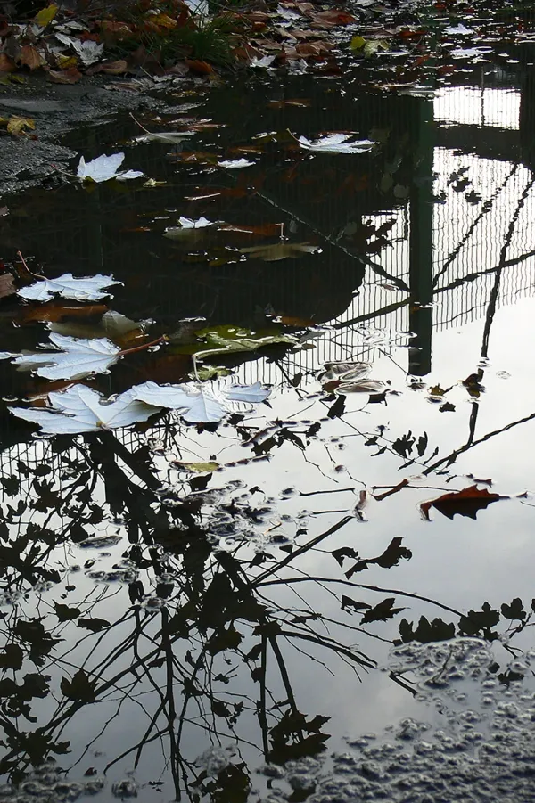 Autumn Mirror