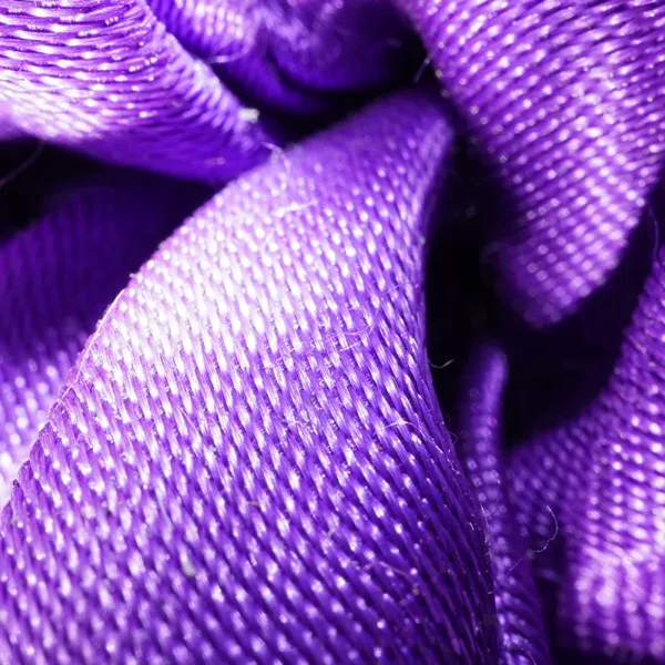 Violet Fold
