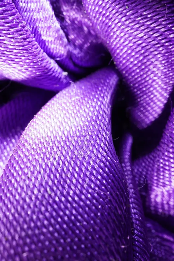 Violet Fold