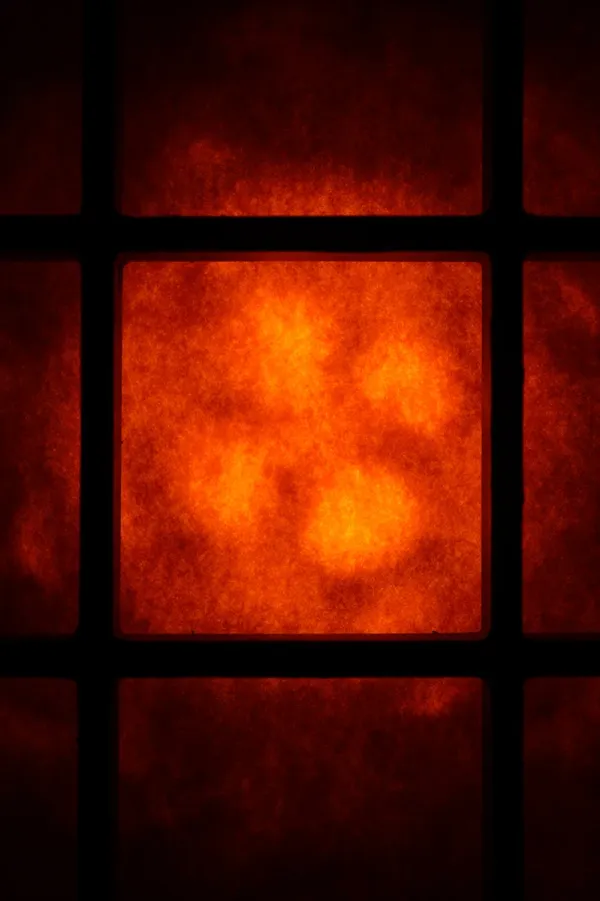 Signal Grid
