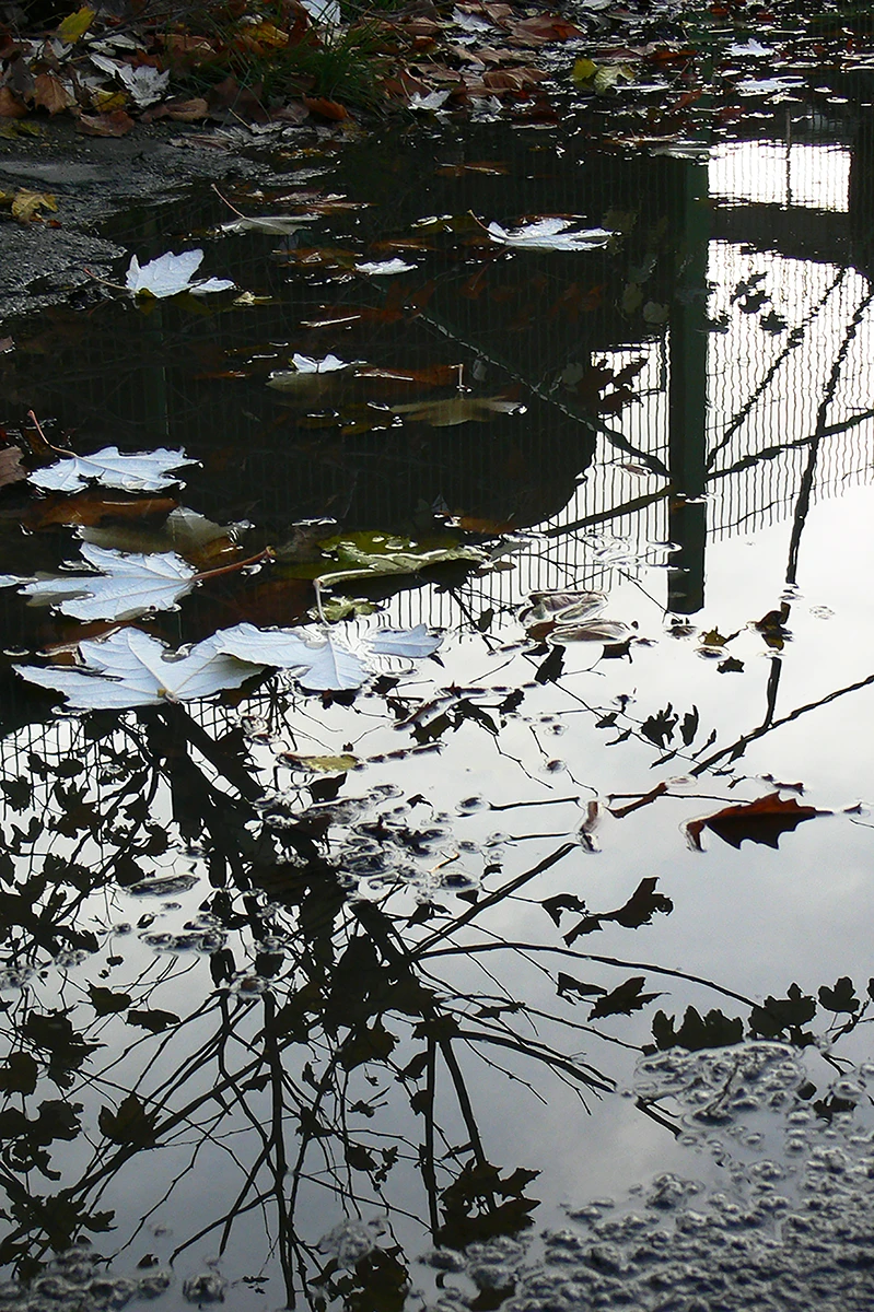 Autumn Mirror