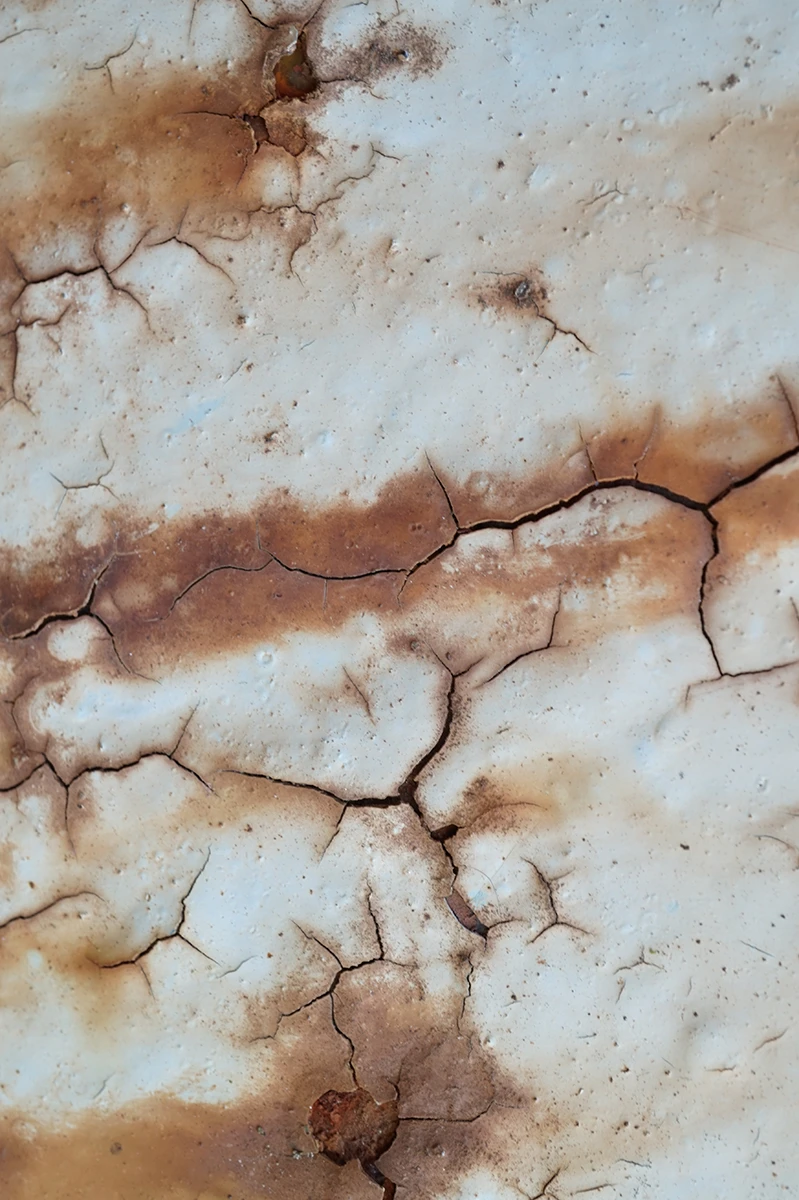 Rust Vein