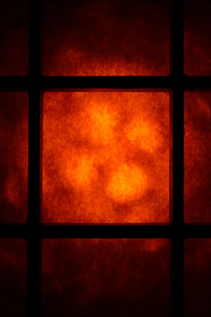 Signal Grid