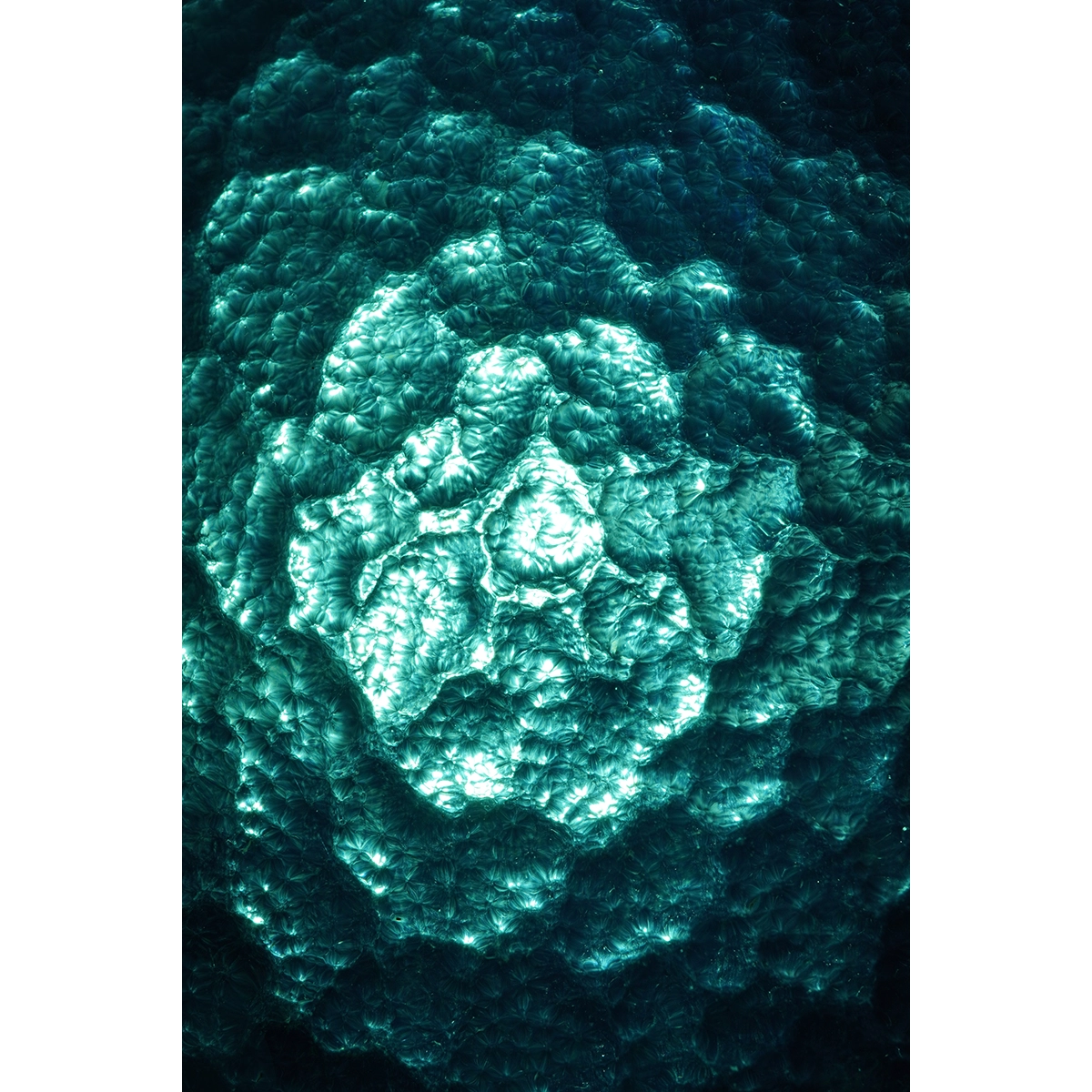 Radiant Matter No. 1